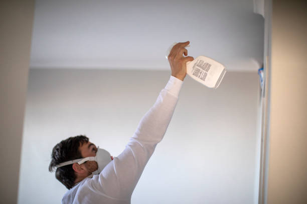 Best DIY Mold Remediation Support Services in Palmyra, NJ