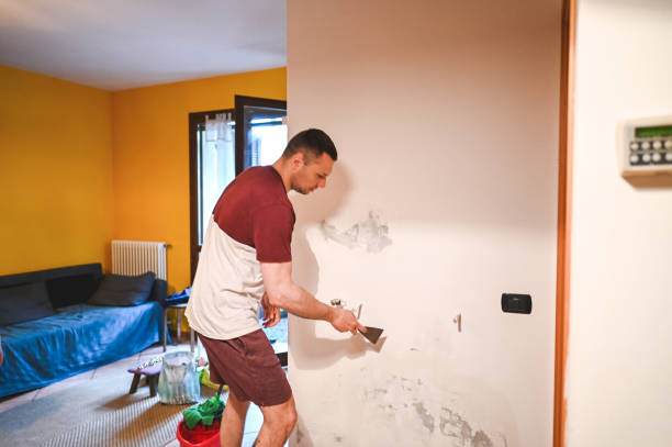 Best Basement Mold Remediation in Palmyra, NJ